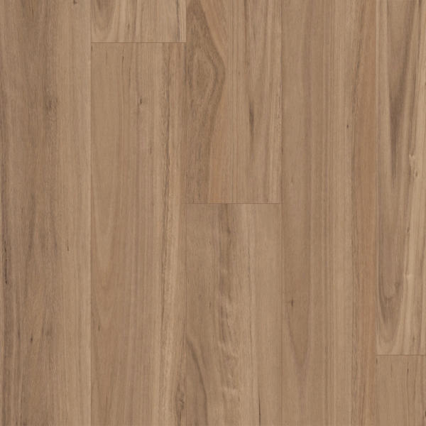 Titan Hybrid XXL Blackbutt