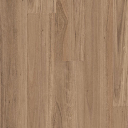 Titan Hybrid XXL Blackbutt