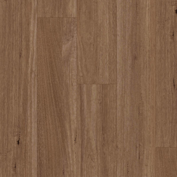 Titan Hybrid spotted gum