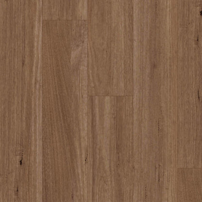 Titan Hybrid spotted gum