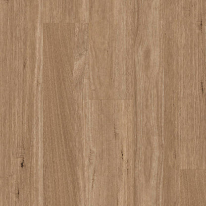 Titan Hybrid tasmanian oak